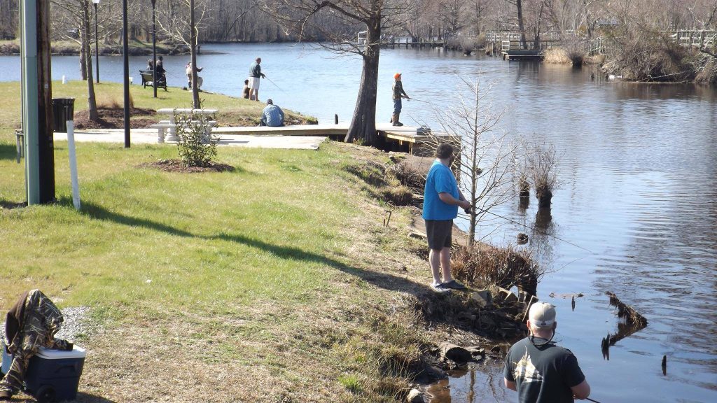 People fishing by a side of a body of water in Windsor Bertie.