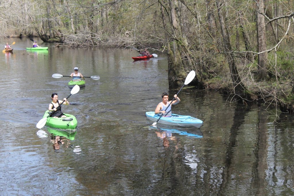 People kayaking along a river.